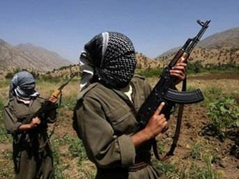 PKK, Bingöl'de yol kesti